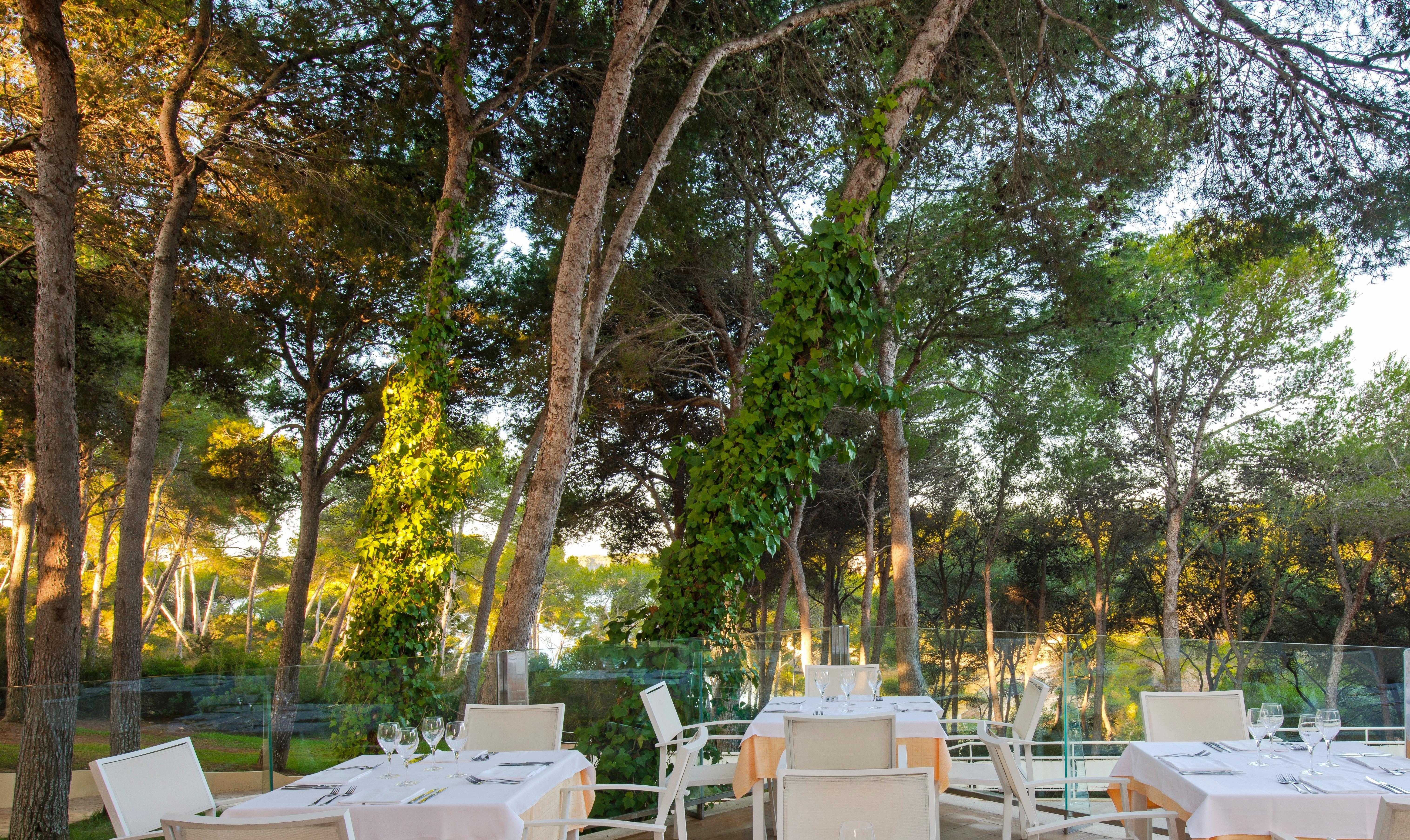 Iberostar Club Cala Barca Hotel Porto Petro (Mallorca)